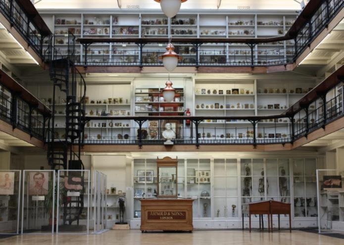 Herbal Hill Farringdon Aparthotel Londyn Zewnętrze zdjęcie